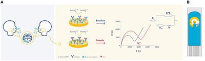 Non-invasive diagnosis and monitoring tool of children’s mental health: A point-of-care immunosensor for IL-6 quantification in saliva samples